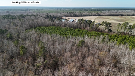 Hunter's Paradise for Sale in Eastern NC - image 25
