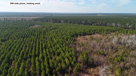 Hunter's Paradise for Sale in Eastern NC - image 15