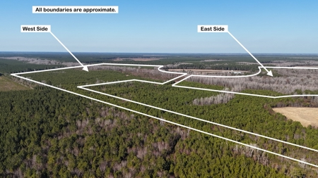 Hunter's Paradise for Sale in Eastern NC - image 38