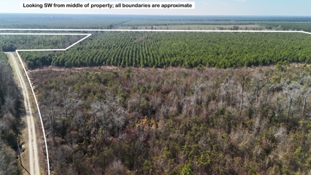 Hunter's Paradise for Sale in Eastern NC - image 26