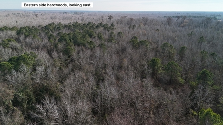 Hunter's Paradise for Sale in Eastern NC - image 14