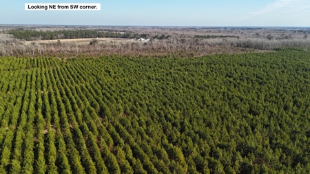 Hunter's Paradise for Sale in Eastern NC - image 31