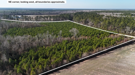 Hunter's Paradise for Sale in Eastern NC - image 23