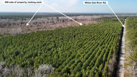 Hunter's Paradise for Sale in Eastern NC - image 12