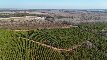 Hunter's Paradise for Sale in Eastern NC - image 35