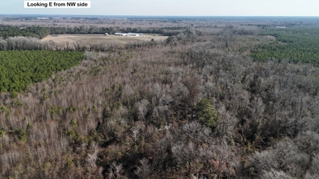 Hunter's Paradise for Sale in Eastern NC - image 33