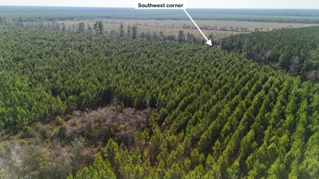 Hunter's Paradise for Sale in Eastern NC - image 29