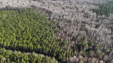 Hunter's Paradise for Sale in Eastern NC - image 41