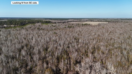 Hunter's Paradise for Sale in Eastern NC - image 43