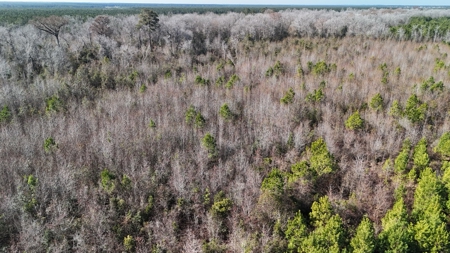 Hunter's Paradise for Sale in Eastern NC - image 9