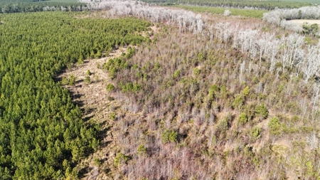 Hunter's Paradise for Sale in Eastern NC - image 27