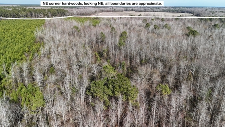Hunter's Paradise for Sale in Eastern NC - image 20