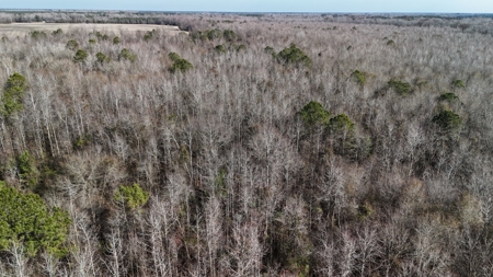 Hunter's Paradise for Sale in Eastern NC - image 21