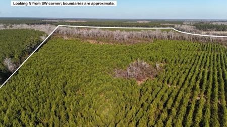 Hunter's Paradise for Sale in Eastern NC - image 32