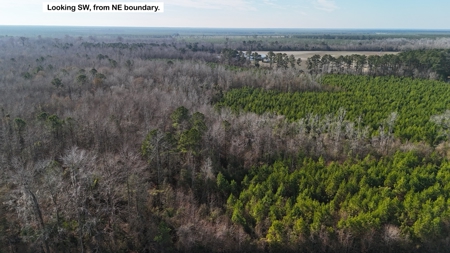 Hunter's Paradise for Sale in Eastern NC - image 24