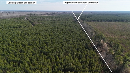 Hunter's Paradise for Sale in Eastern NC - image 30