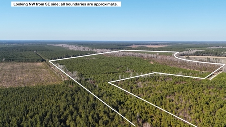 Hunter's Paradise for Sale in Eastern NC - image 36