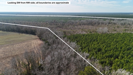 Hunter's Paradise for Sale in Eastern NC - image 13