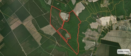 Hunter's Paradise for Sale in Eastern NC - image 1