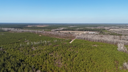 Hunter's Paradise for Sale in Eastern NC - image 37