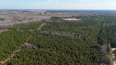 Hunter's Paradise for Sale in Eastern NC - image 34