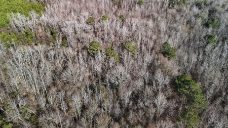 Hunter's Paradise for Sale in Eastern NC - image 22