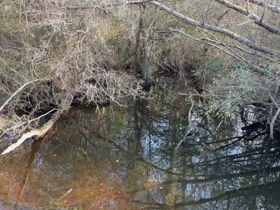 Hunter's Paradise for Sale in Eastern NC - image 47