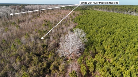 Hunter's Paradise for Sale in Eastern NC - image 8