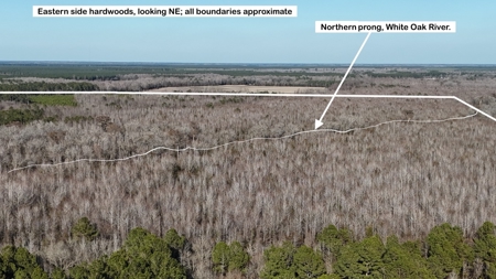 Hunter's Paradise for Sale in Eastern NC - image 45