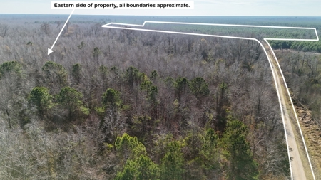 Hunter's Paradise for Sale in Eastern NC - image 11