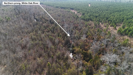 Hunter's Paradise for Sale in Eastern NC - image 17
