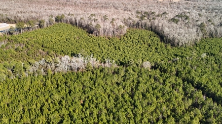 Hunter's Paradise for Sale in Eastern NC - image 39