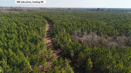 Hunter's Paradise for Sale in Eastern NC - image 28