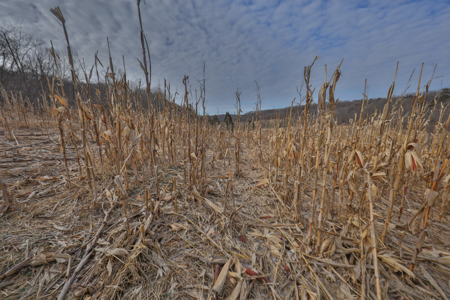 Driftless Trophy Whitetail Legacy Farm – Proven Big Buck Property - image 44