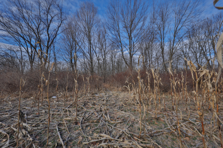 Driftless Trophy Whitetail Legacy Farm – Proven Big Buck Property - image 26