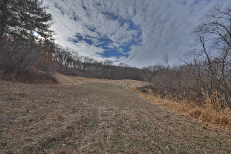 Driftless Trophy Whitetail Legacy Farm – Proven Big Buck Property - image 43
