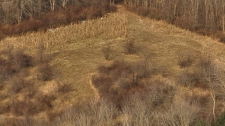 Driftless Trophy Whitetail Legacy Farm – Proven Big Buck Property - image 14