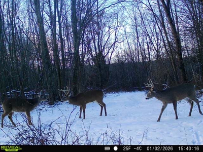 Driftless Trophy Whitetail Legacy Farm – Proven Big Buck Property - image 23
