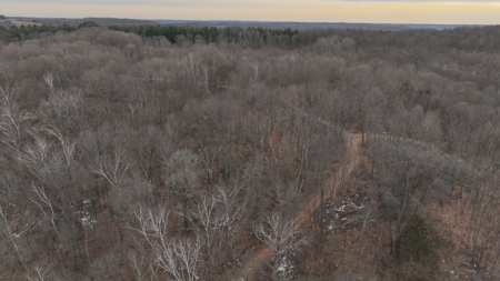 Driftless Trophy Whitetail Legacy Farm – Proven Big Buck Property - image 33