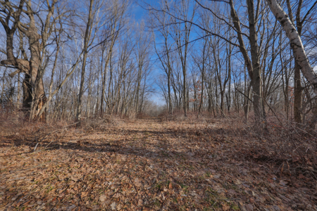 Driftless Trophy Whitetail Legacy Farm – Proven Big Buck Property - image 20