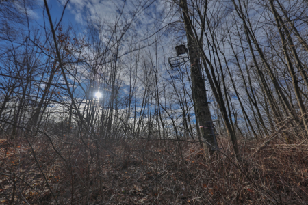 Driftless Trophy Whitetail Legacy Farm – Proven Big Buck Property - image 38