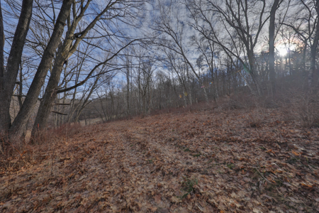 Driftless Trophy Whitetail Legacy Farm – Proven Big Buck Property - image 17