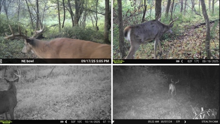 Driftless Trophy Whitetail Legacy Farm – Proven Big Buck Property - image 37