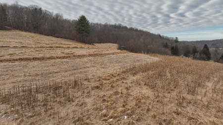 Driftless Trophy Whitetail Legacy Farm – Proven Big Buck Property - image 6