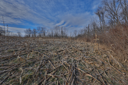 Driftless Trophy Whitetail Legacy Farm – Proven Big Buck Property - image 28
