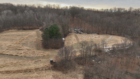 Driftless Trophy Whitetail Legacy Farm – Proven Big Buck Property - image 48