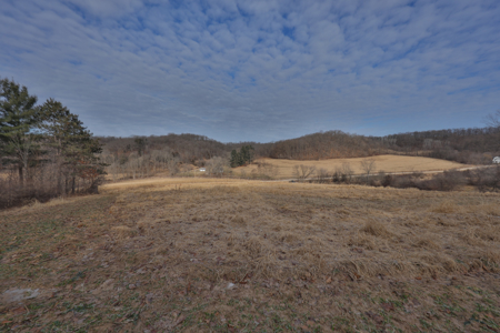 Driftless Trophy Whitetail Legacy Farm – Proven Big Buck Property - image 39