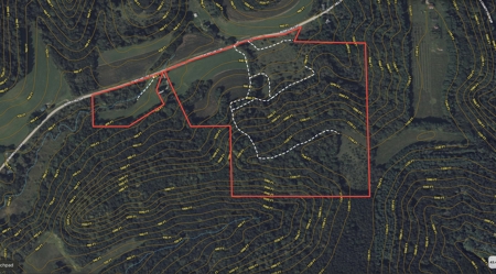 Driftless Trophy Whitetail Legacy Farm – Proven Big Buck Property - image 50