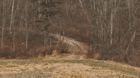 Driftless Trophy Whitetail Legacy Farm – Proven Big Buck Property - image 15
