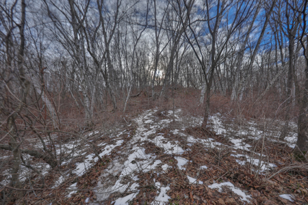 Driftless Trophy Whitetail Legacy Farm – Proven Big Buck Property - image 41